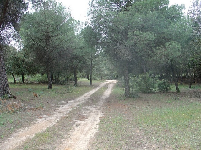 entrada al campo de tiro con arco toledo.jpg